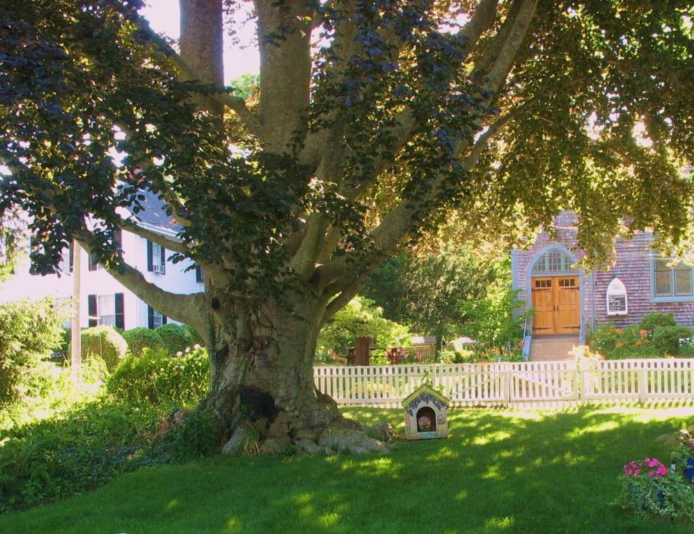 The 1720 House Bed & Breakfast Vineyard Haven Exterior photo